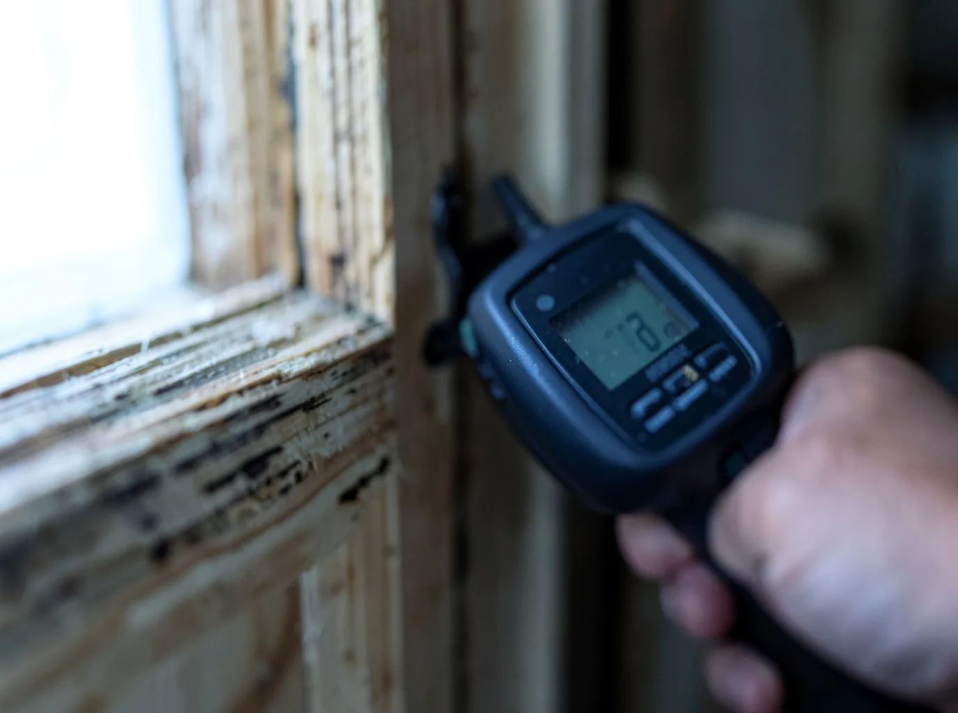 Moisture Inspection And Documentation in Arkville, NY